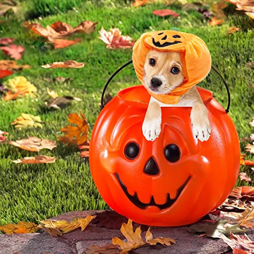 Dog Halloween Costumes Pet Pumpkin Hat- Funny Halloween Party Dress Up Halloween Party Photo Props Cute Headdress Dog Costumes For Small Dogs… (Small) #TOP6