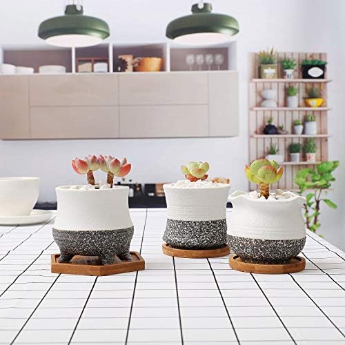 T4U 9CM Succulent Plant Pot with Bamboo Tray Set of 3, Korean Style Cactus Pot Small Bonsai Planter Pot Indoor Home Garden Decoration for Succulent,Cactus,Herb,Aloe and More
