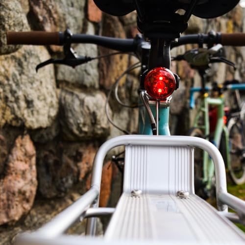 Planet Bike Eco Bike Rack