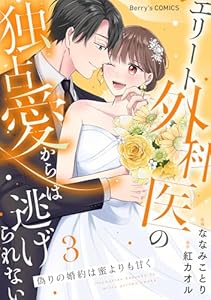 偽りの婚約は蜜よりも甘く～エリート外科医の独占愛からは逃げられない～3巻 (Berry's COMICS)