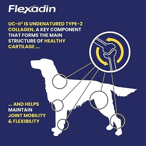 Flexadin Adult Dog Joint Supplement containing UC-II | Designed to aid Mobility & Flexibility | Natural Ingredients Omega 3 & Vit E | Aged 2+ | 60 Chews