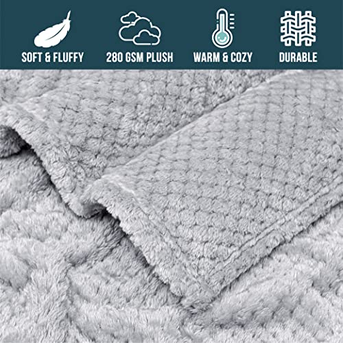 Pavilia Waffle Fleece Throw Blanket For Couch Bed Light Gray, Super Soft Fuzzy Cozy Blanket Sofa, Plush Warm Cute Decorative Home Decor Throw, Lightweight All Season, Silver Light Grey, 50X60 #TOP3