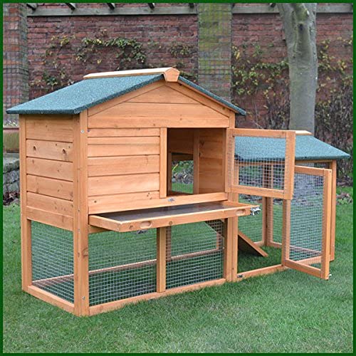 6 Best Rabbit Hutches & What To Look For To Buy The Best One