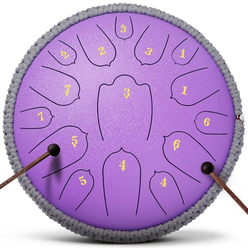 Steel Tongue Drum, Rain Drum,Zen Drum,12 Inch 15 Notes D Major Percussion Instrument with Soft Bag...