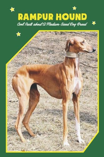 Rampur Hound: Cool Facts about A Medium-Sized Dog Breed