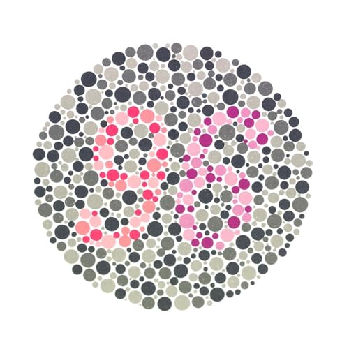 Generic Ishihara 38 Plate Color Deficiency Test Book - Image 2