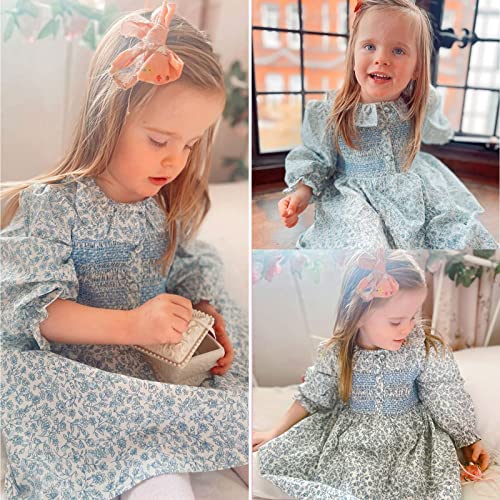 Curipeer Baby Girls Long Sleeve Floral Dress Flower Printed Smock Toddler Ruffle Dress For Autumn And Spring Blue 3T #TOP1
