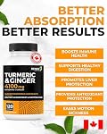 Renew Actives Turmeric Ginger avec Capsules de poivre noir 4100 mg - Supplément à base de plantes pour le soutien digestif - 120 Capsules