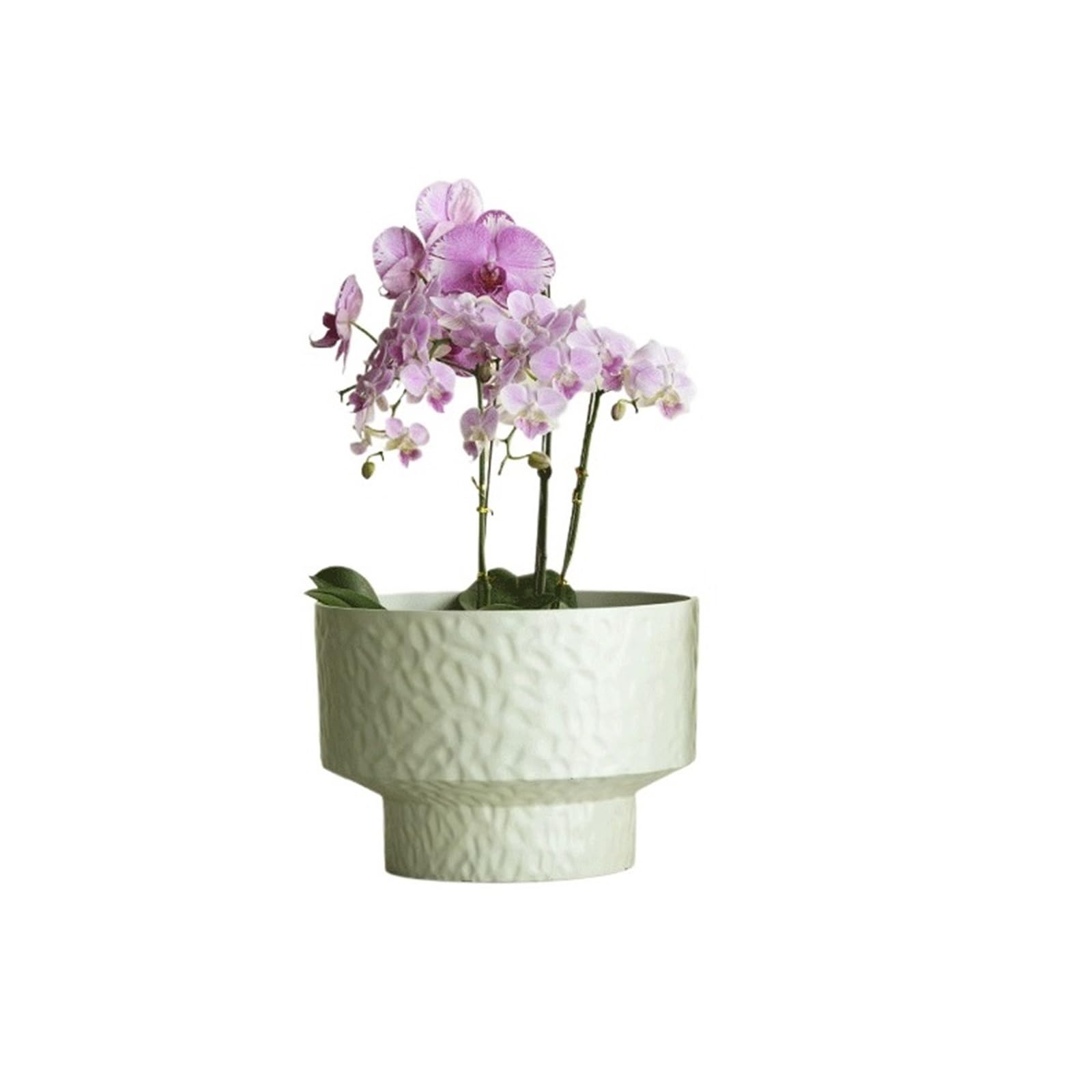 Mq5rB8u1 Minimalist Planters: These Round Planters Are Made Of Pearlescent Plastic(White,Medium)