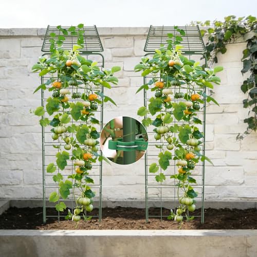 Heavy Duty A-Frame Metal Garden Trellis for Climbing Plants, 50"x17" Inch Tall Plant Support with Clips & Garden Ties for Cucumbers, Squash, Beans & Vines (2) by Nexum - Used condition - Image 6