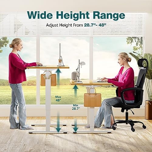 image for SMUG Adjustable Height Standing Desk 48 Inch Electric Sit Stand Up Dow