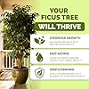 Ficus Tree Fertilizer – Liquid Plant Food for Lush Foliage, Stronger Roots & Healthy New Growth, 8 oz