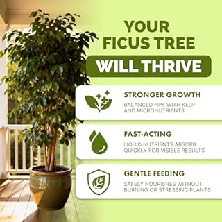 Ficus Tree Fertilizer – Liquid Plant Food for Lush Foliage, Stronger Roots & Healthy New Growth, 32 oz