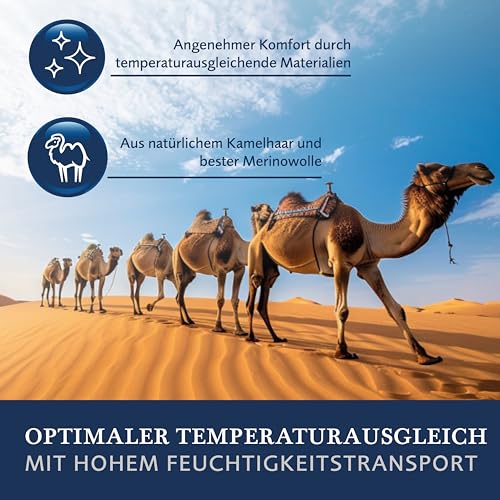 Billerbeck Bettdecke E48 Kairo – Ganzjahresdecke 155 x 220 cm