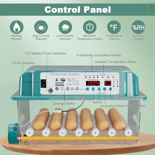 Image of CoInceptus 36 Eggs Incubators for Hatching Eggs,Egg Incubator with 4 Automatic Incubate Mode,Chicken Incubator with Automatic Egg Turning Humidity Display,Quail Egg Incubator with Egg Candle