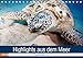 Produktbild Highlights aus dem Meer - Tauchkalender (Tischkalender 2019 DIN A5 quer): Erleben Sie die farbenfrohe fantastische Welt unter Wasser! (Monatskalender, 14 Seiten ) (CALVENDO Tiere)
