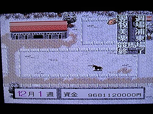 ダービースタリオン2の関連画像5