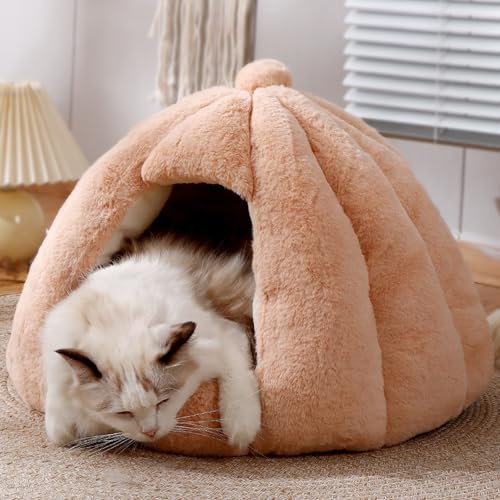 [ADSNS] ybg nEX h[ Lp H ~ ybg 􂦂  XL h[nEX xbh L Hp ~p h[^ ^ nEX ybgeg ybgpQ ۉh ~ K  Vv g J[1 h ΍ 