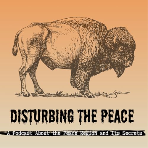 Disturbing The Peace cover art