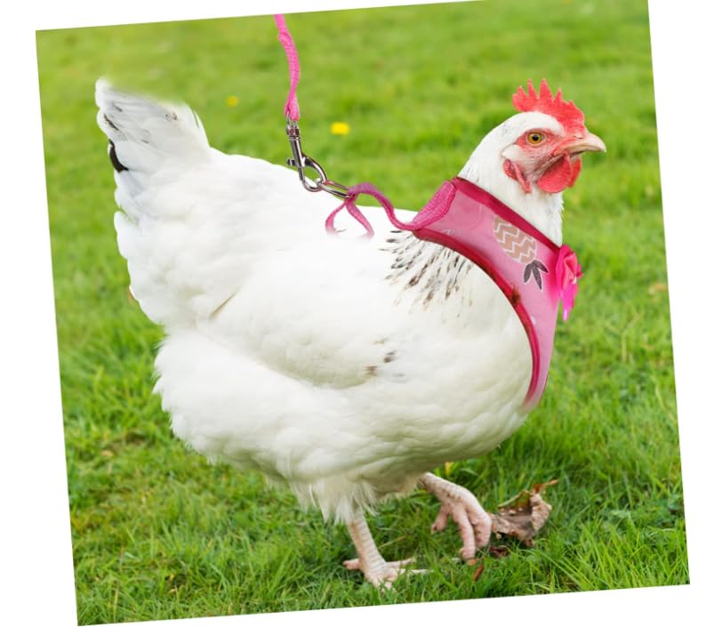 Image of Chicken Harness with Leash for Small Pets, Adjustable Elastic Breathable Vest for Hens Ducks Geese Outdoor Walking Training