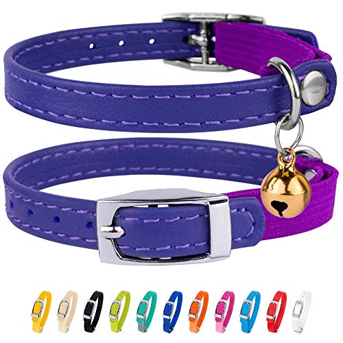 CollarDirect Collar de Piel para Gato, Collar de Seguridad para Gato con Correa elástica, Collar de Gatito para Gato con...