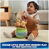 GUND Disney Official Winnie the Pooh Plush Playset with Pooh, Tigger, and Piglet, Sensory Toy Stuffed Animals for Ages 0 and Up, Green, 8