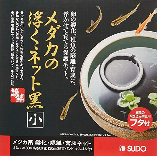 最安値 スドー スターペット メダカの浮くネット黒 小の価格比較