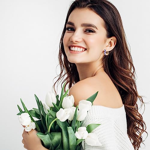 18k Gold Filled Checkered Hoop Earrings,Enamel Small Hoops Earrings For Women Hypoallergenic Earrings2