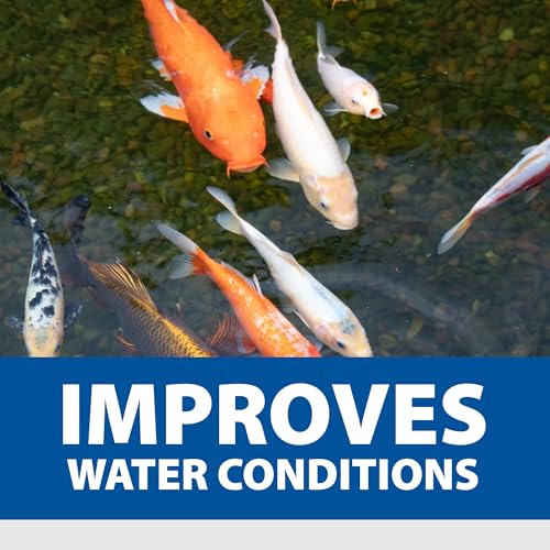 The Pond Guy Muck Defense, Natural Sludge Control Treatment, Water Garden Mud Digester & Odor Remover, Fish, Bird & Pet Safe, Easy Dosing, 12 Tablet by Pond Logic - Used condition - Image 9