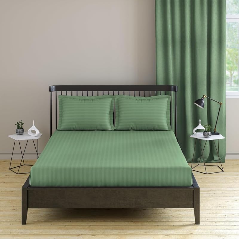 Pro Linen Basic 1Cm Satin Stripe Pure Cotton 210Tc, 3Pc Bedding Set, King Luxe Size 300x275 Cm, Moss, (1 Bed Sheet + 2 Pillow Covers) (B0CNZK3T9X) Amazon Price History, Amazon Price Tracker