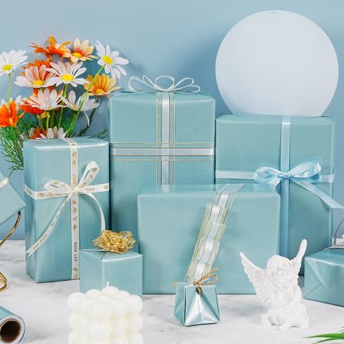 RUIFUN Sky Blue Wrapping Paper Roll, Light Blue Matte Wrapping Paper, Solid Color Metallic Wrapping Paper Roll, Baby Blue Gift Wrapping Paper for Birthday Baby Shower Wedding Christmas, 17Inch×33Feet