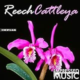  Cattleya (Original Mix)