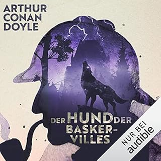 Der Hund der Baskervilles Titelbild