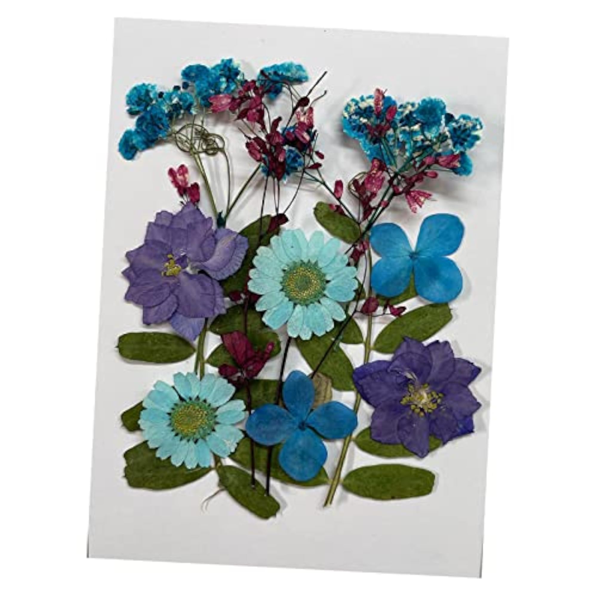 Dried Flowers Crafts Multipurpose for Table Decorations