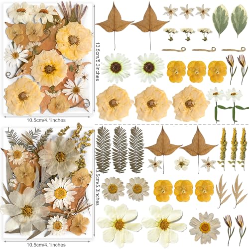 Image of 96PCS Vintage White Dried Pressed Flowers for Resin Craft - YouthBro Real Nature Flowers Set with 50 PCS Butterfly Stickers for DIY Scrapbook Art Floral Decors