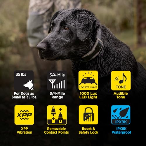 Image of Dogtra 1900X 2-Dogs E-Collar with Remote - 3 /4 Mile Range, 35 lbs+, LED Light, 100 Levels Control for Stubborn Dogs, Waterproof, Boost for Quick Recall, Vibration, Safety Lock & Tone