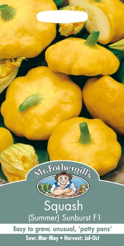 Mr Fothergill's 12760 Vegetable Seeds, Squash (Summer) Sunburst F1, Yellow