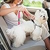 Car Travel Accessories for Dogs