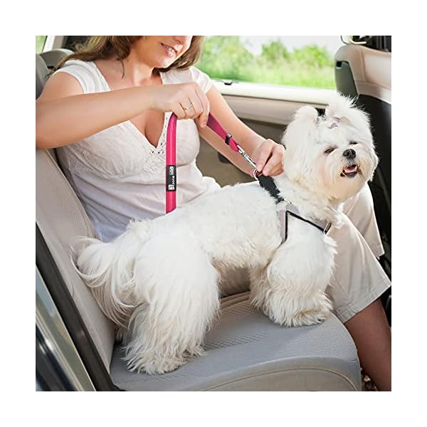Car Travel Accessories for Dogs
