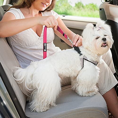Seat Belt for Dogs with Elastic Bungee Buffer | Car Travel Accessories for Dogs Adjustible, Elastic (Pink)