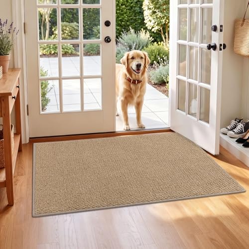 HEBE Indoor Door Mat 2'x3', Washable Welcome Mat for Front Door Entrance | Non Slip Neutral Boho Entryway Rug, Vintage Distressed Woven Entry Mats Floor Carpet for Entrance, Porch, Bathroom