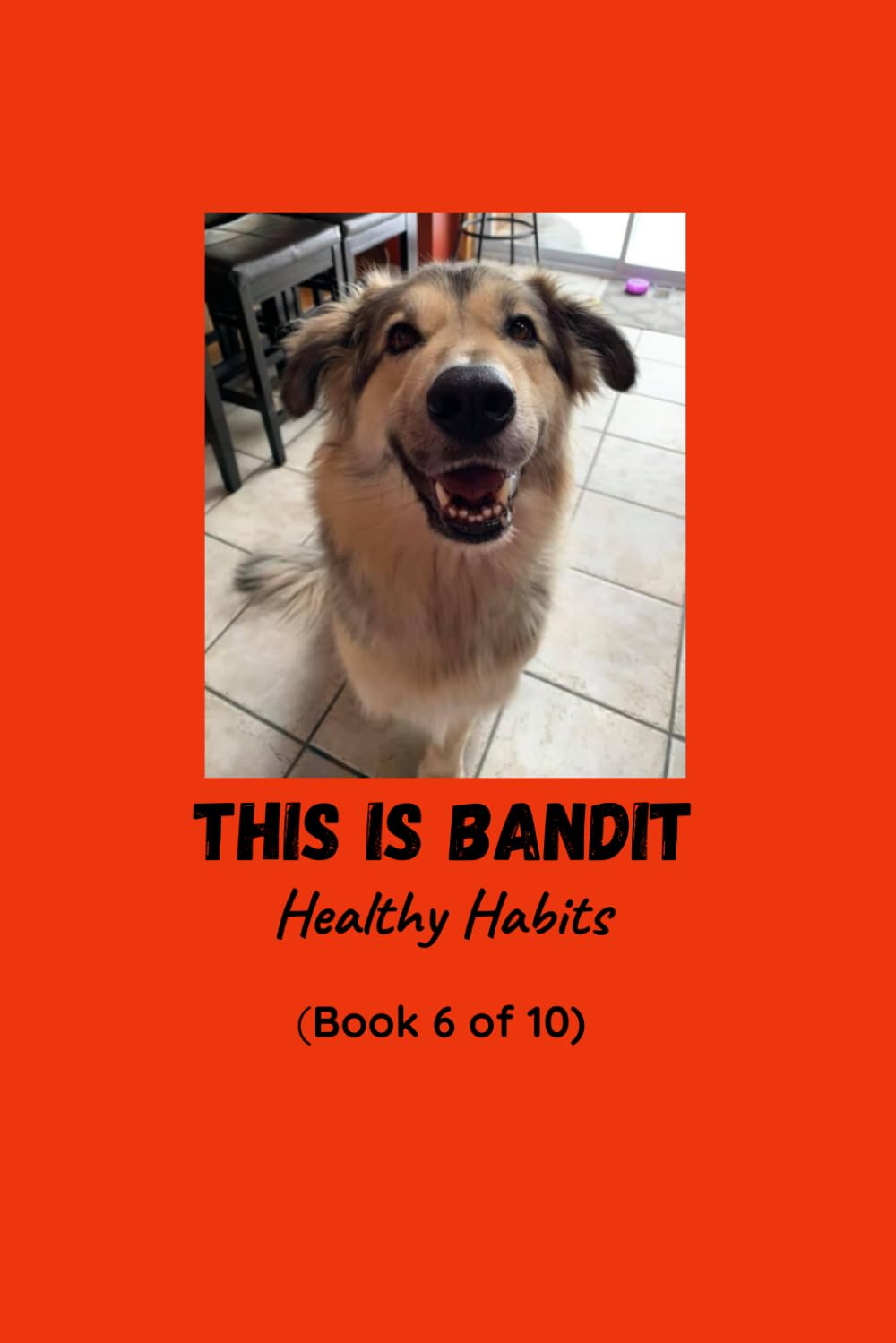 This is Bandit: Healthy Habits