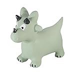 Kindsgut Bouncy Animal Hopper Dino for Children, Designed in Germany, Playful and Modern Colors, air Pump Included, Indoors and Outdoors