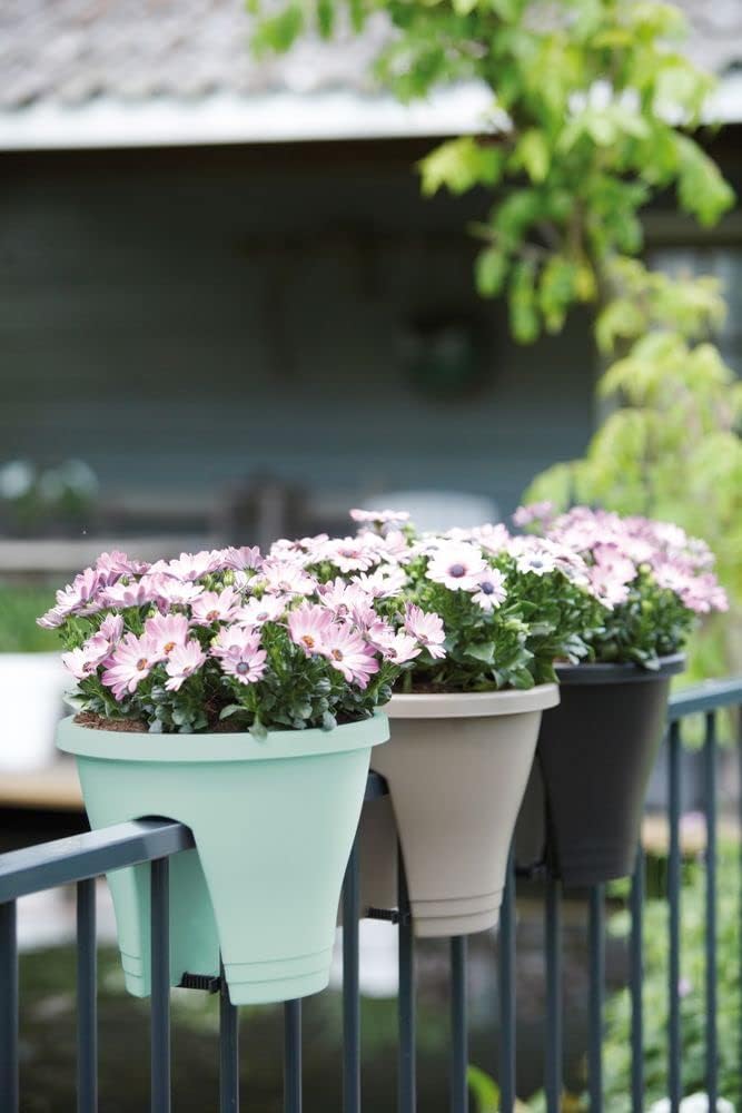 Exaco Flower Mint Corsica Flower Bridge Planter, Mint, 2 Per Pack