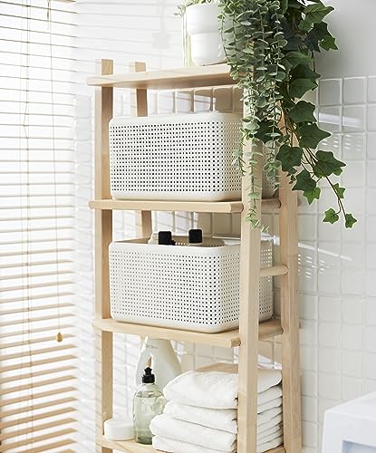 Rotho Madei Aubewahrungsbox 13l, Kunststoff (PP recycelt) BPA-frei, cappuccino, 13l (32.6 x 23.8 x 18.8 cm), Beige