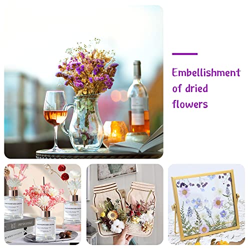 Miniatura 7 de Flores Secas Naturales Flores Secas Para Resina Flores Secas Naturales Decorar Flores Secas Manualidades Diy Joyería Vela Arte De Uñas Artesanía Scrapbooking Decoración Floral Púrpura