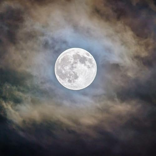 Sicut luna perfecta - A&ntilde;o Nuevo - 03/01/26