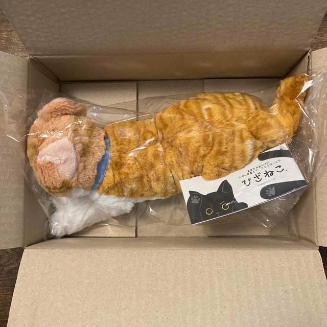 中国 景泰藍焼 七宝 牡丹鷹雀花鳥文飾皿 中国 景泰藍焼 七宝 牡丹鷹雀