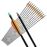 Mosogos 12Pcs 31' Fiberglass Arrows with Replaceable Screw-in Point Archery Hunting Target Practice Arrow for Compound and Recurve Bow