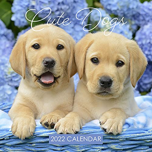 Wandkalender für 2022 Niedliche Hunde Welpen Cover
